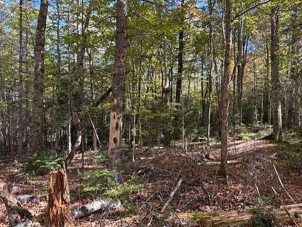 12 Acres of Land for Sale in Marion Township, Maine