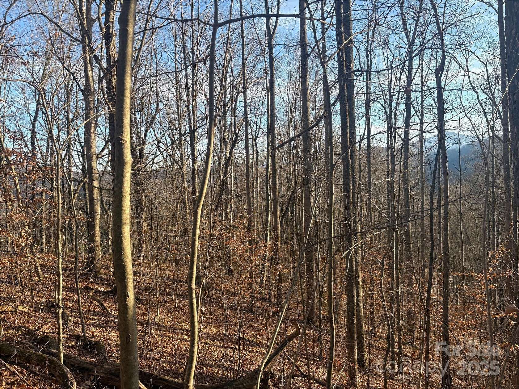 1.4 Acres of Residential Land for Sale in Waynesville, North Carolina