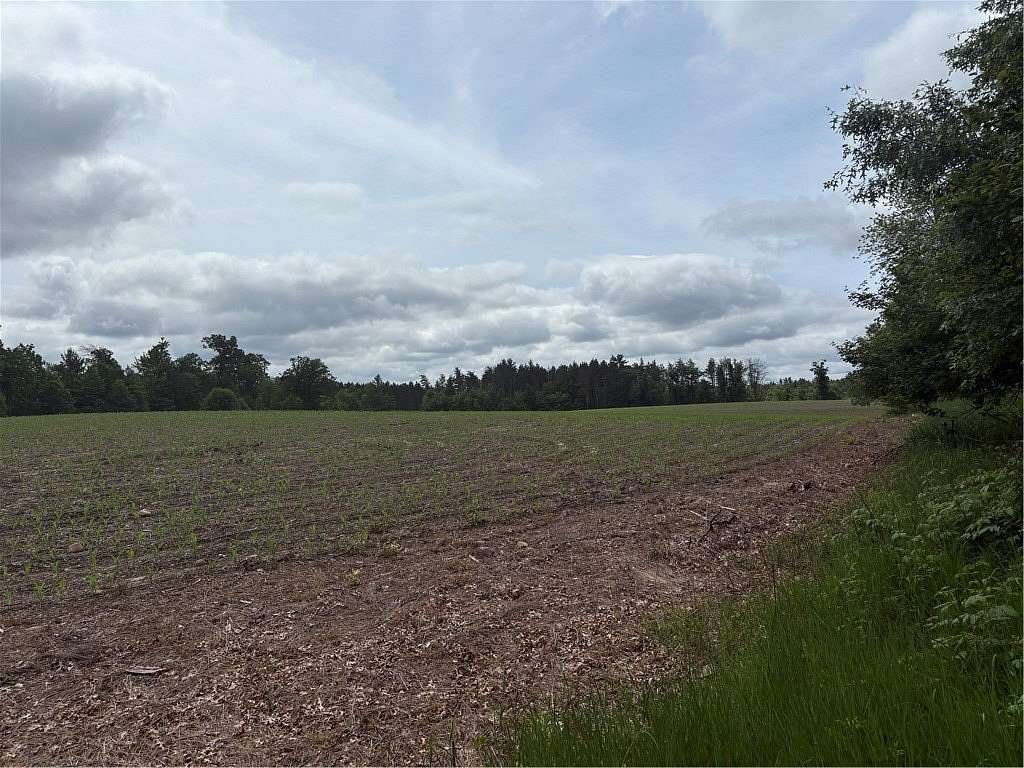 80 Acres of Recreational Land for Sale in Humbird, Wisconsin