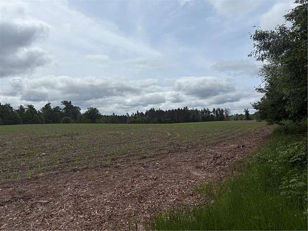 80 Acres of Recreational Land for Sale in Humbird, Wisconsin