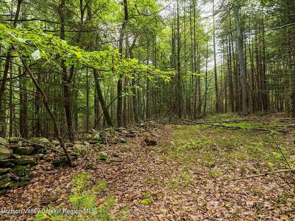 7.53 Acres of Residential Land for Sale in Woodstock, New York