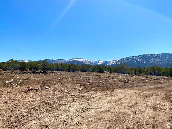 29.9 Acres of Agricultural Land for Sale in Spring City, Utah