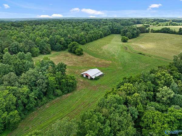 73 Acres of Agricultural Land for Sale in Killen, Alabama