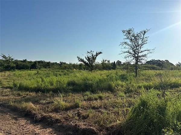 24.3 Acres of Recreational Land for Sale in Hitchita, Oklahoma