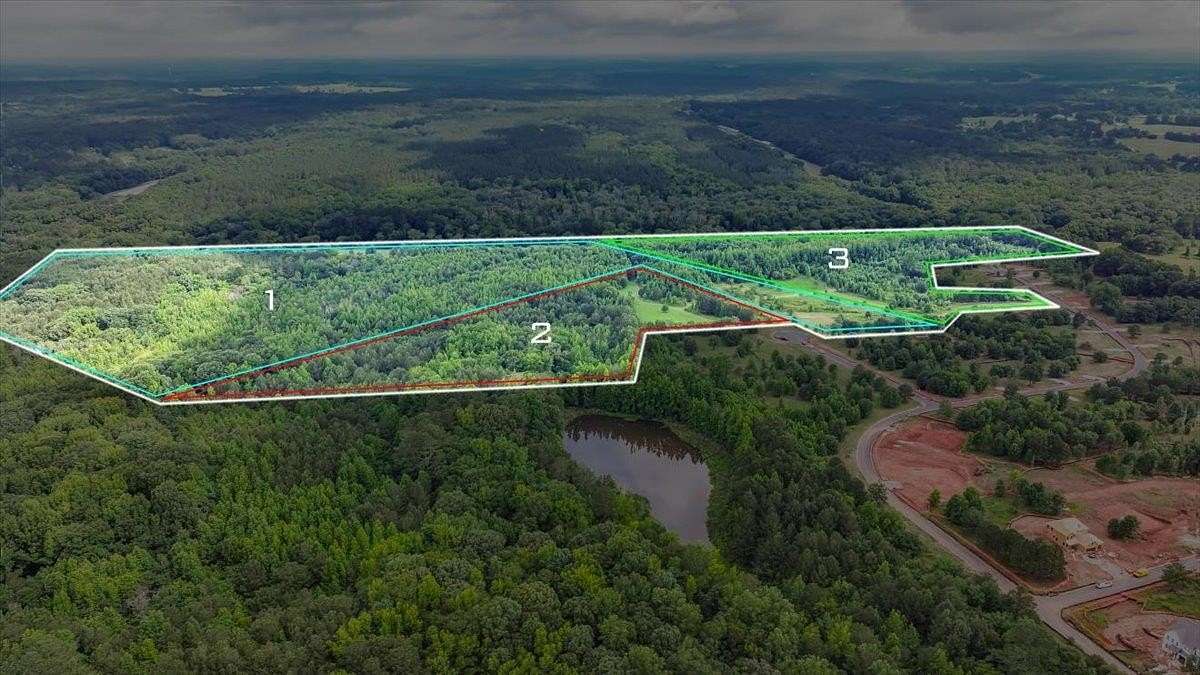 21.5 Acres of Recreational Land for Sale in Madison, Georgia