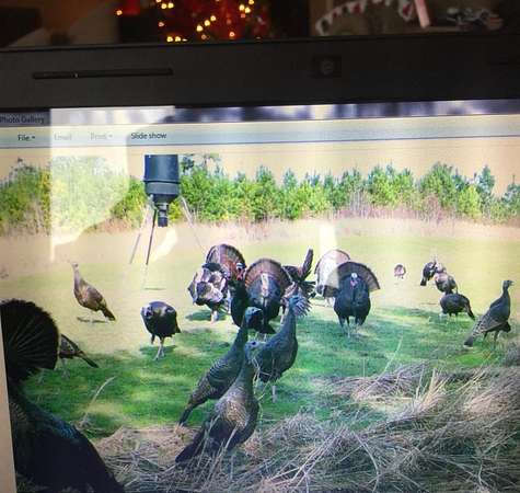 167 Acres of Recreational Land for Sale in Greenwood Springs, Mississippi