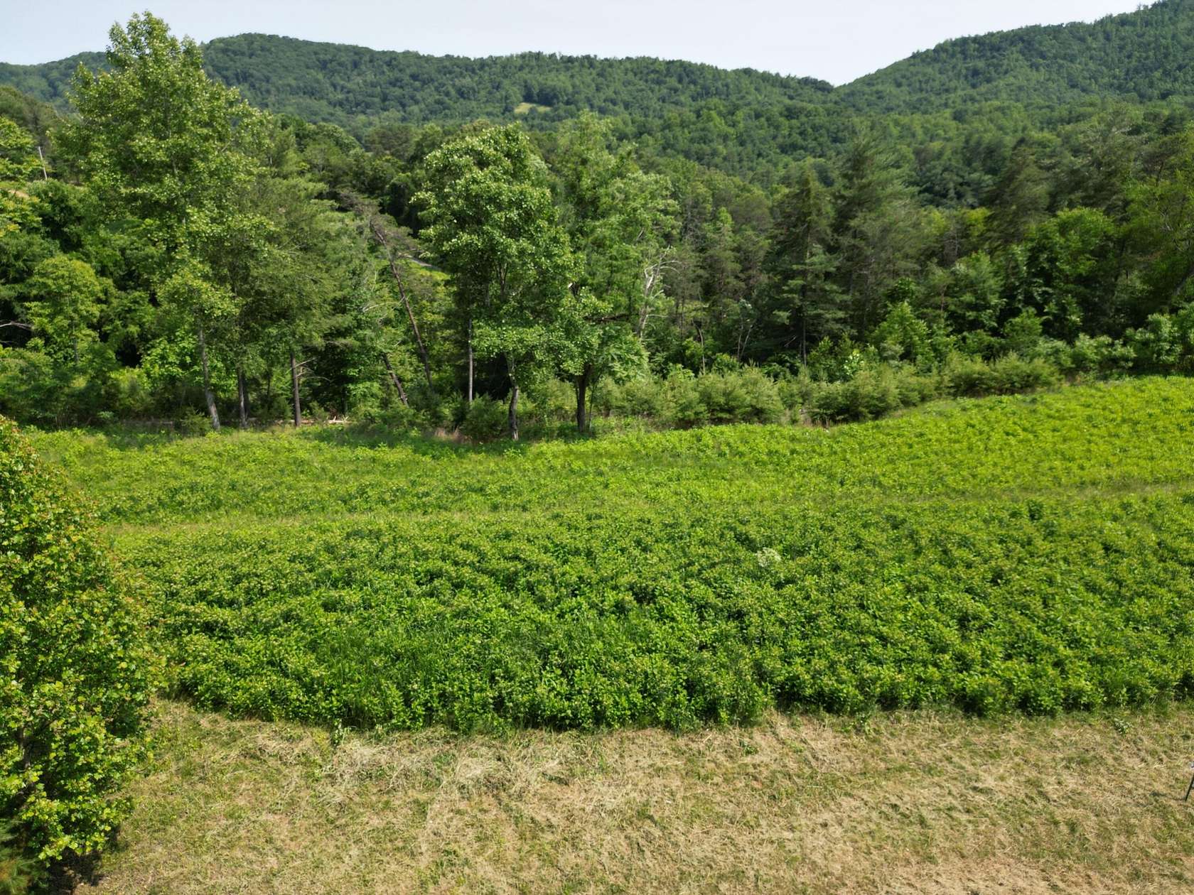 5.1 Acres of Residential Land for Sale in Vinton, Virginia