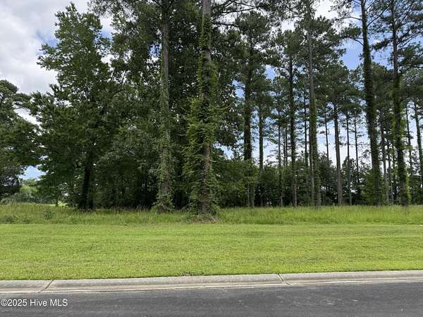 1 Acre of Residential Land for Sale in Oriental, North Carolina
