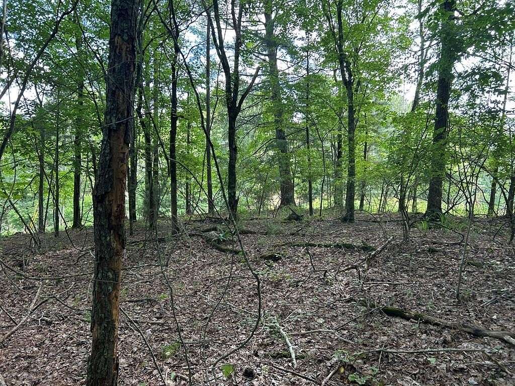 0.54 Acres of Land for Sale in Ellijay, Georgia