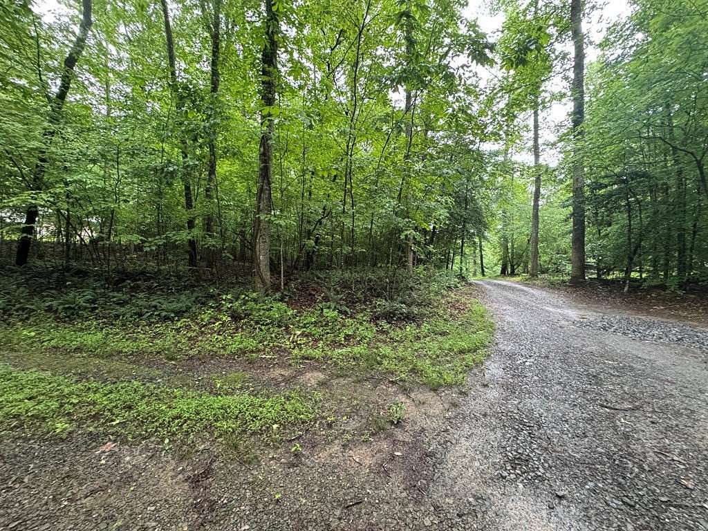 1.23 Acres of Residential Land for Sale in Ellijay, Georgia