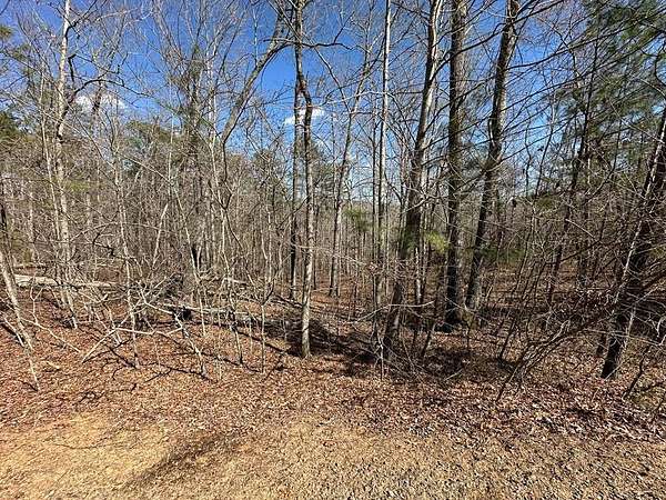 1.76 Acres of Residential Land for Sale in Ellijay, Georgia