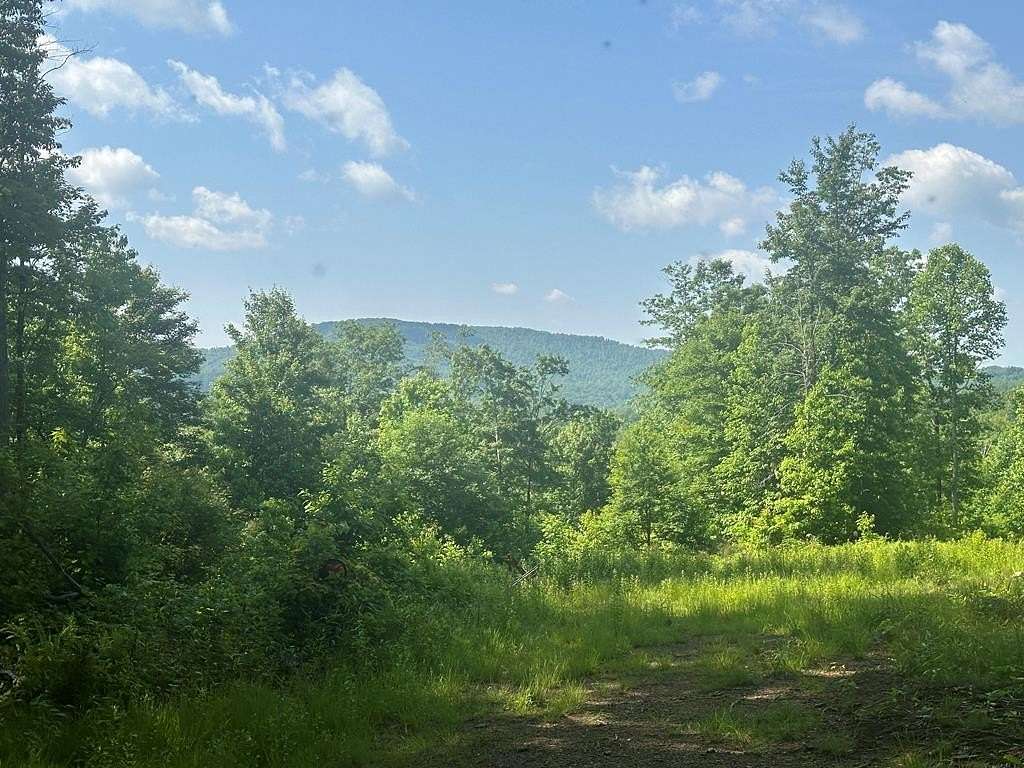 Land for Sale in Danese, West Virginia