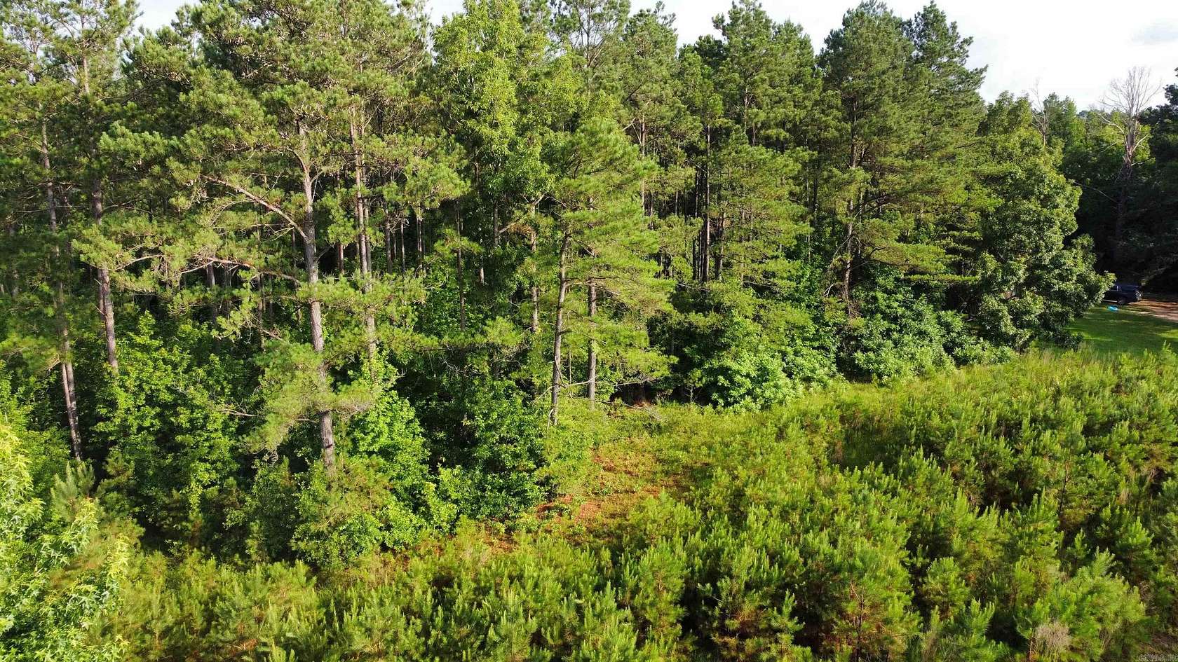 9 Acres of Residential Land for Sale in Hermitage, Arkansas