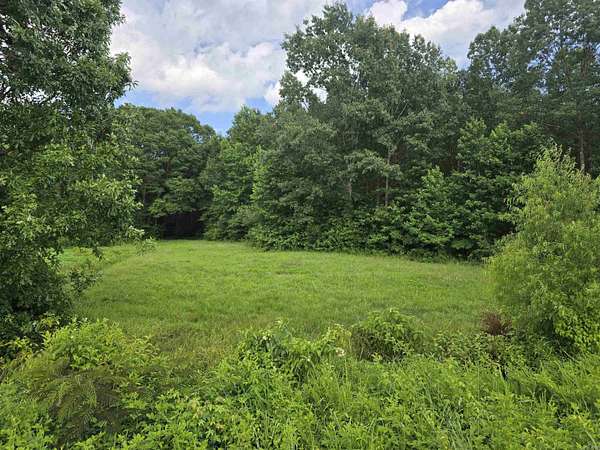 21.9 Acres of Recreational Land for Sale in McRae, Arkansas