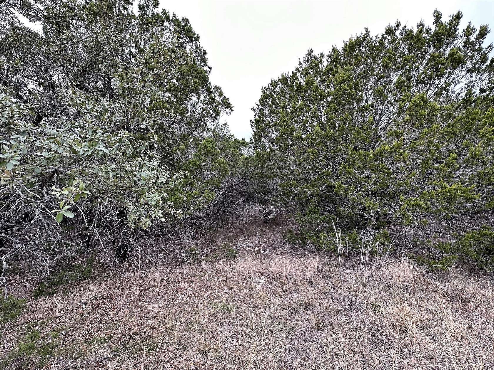 0.25 Acres of Residential Land for Sale in Lago Vista, Texas