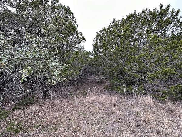 0.25 Acres of Residential Land for Sale in Lago Vista, Texas