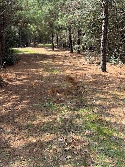 11 Acres of Land for Sale in Paige, Texas