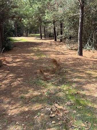 11 Acres of Land for Sale in Paige, Texas