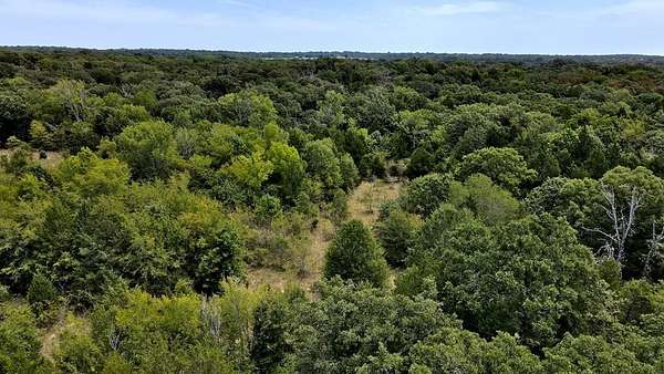 49.7 Acres of Recreational Land for Sale in Athens, Texas