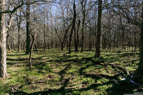 4.65 Acres of Residential Land for Sale in Seguin, Texas