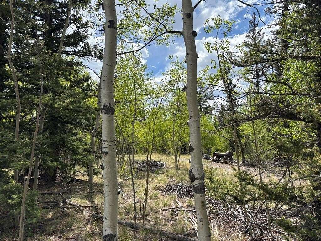 1 Acre of Residential Land for Sale in Como, Colorado