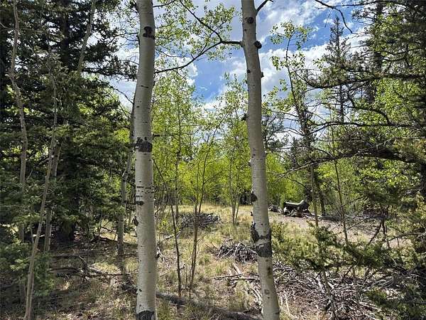 1 Acre of Residential Land for Sale in Como, Colorado