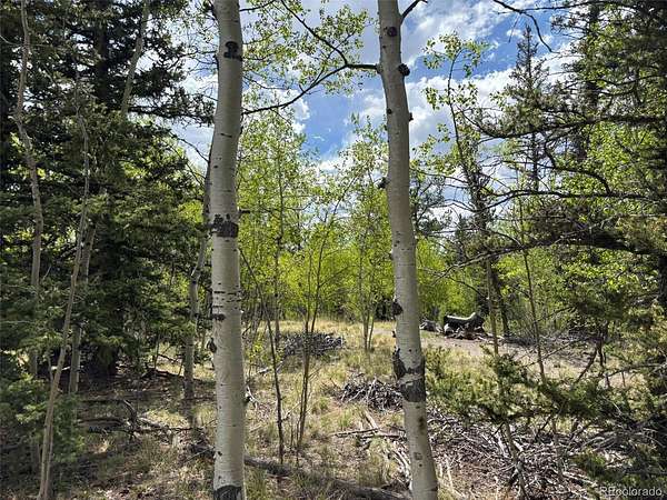 1 Acre of Residential Land for Sale in Como, Colorado