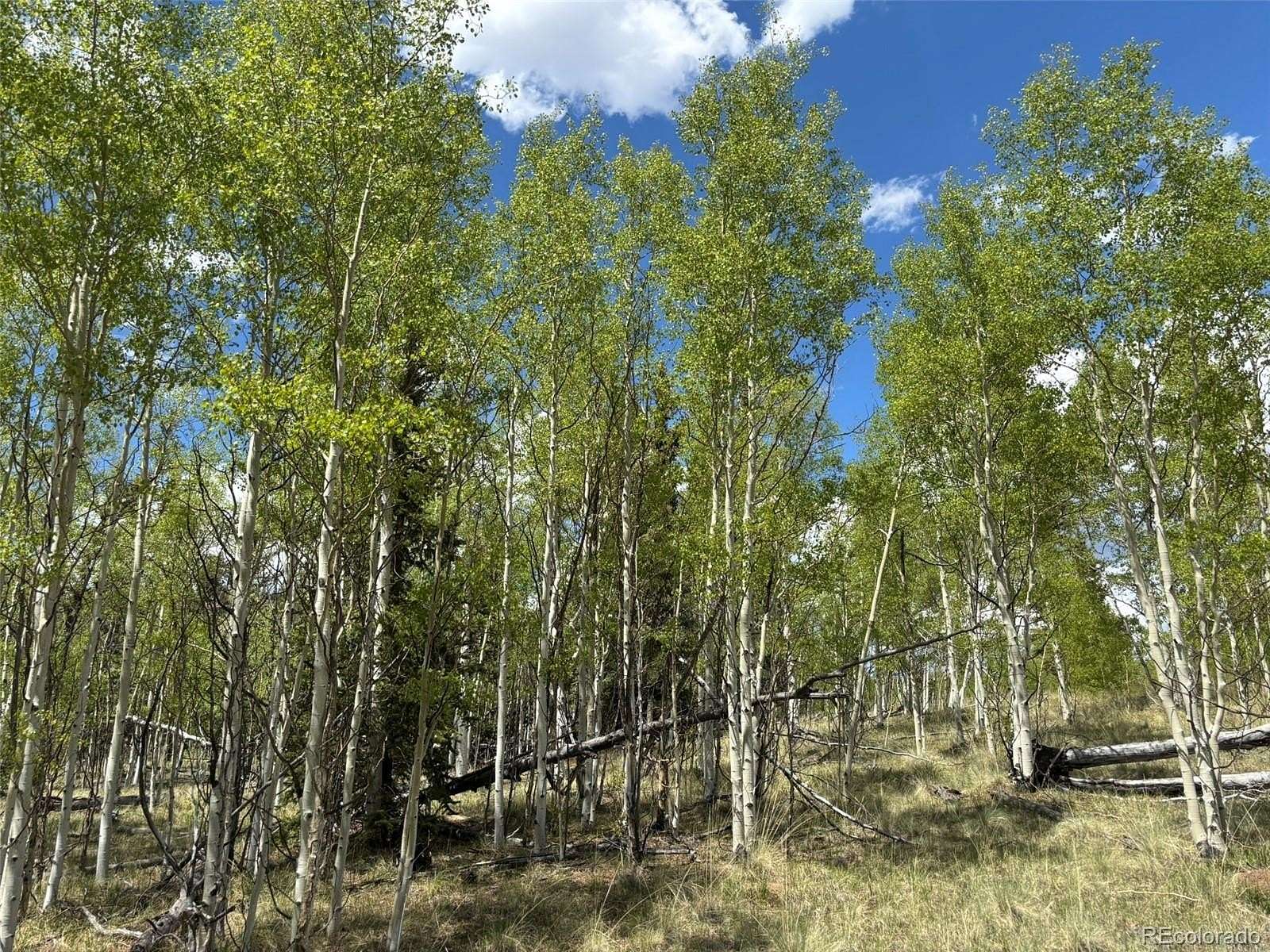 1.13 Acres of Residential Land for Sale in Como, Colorado