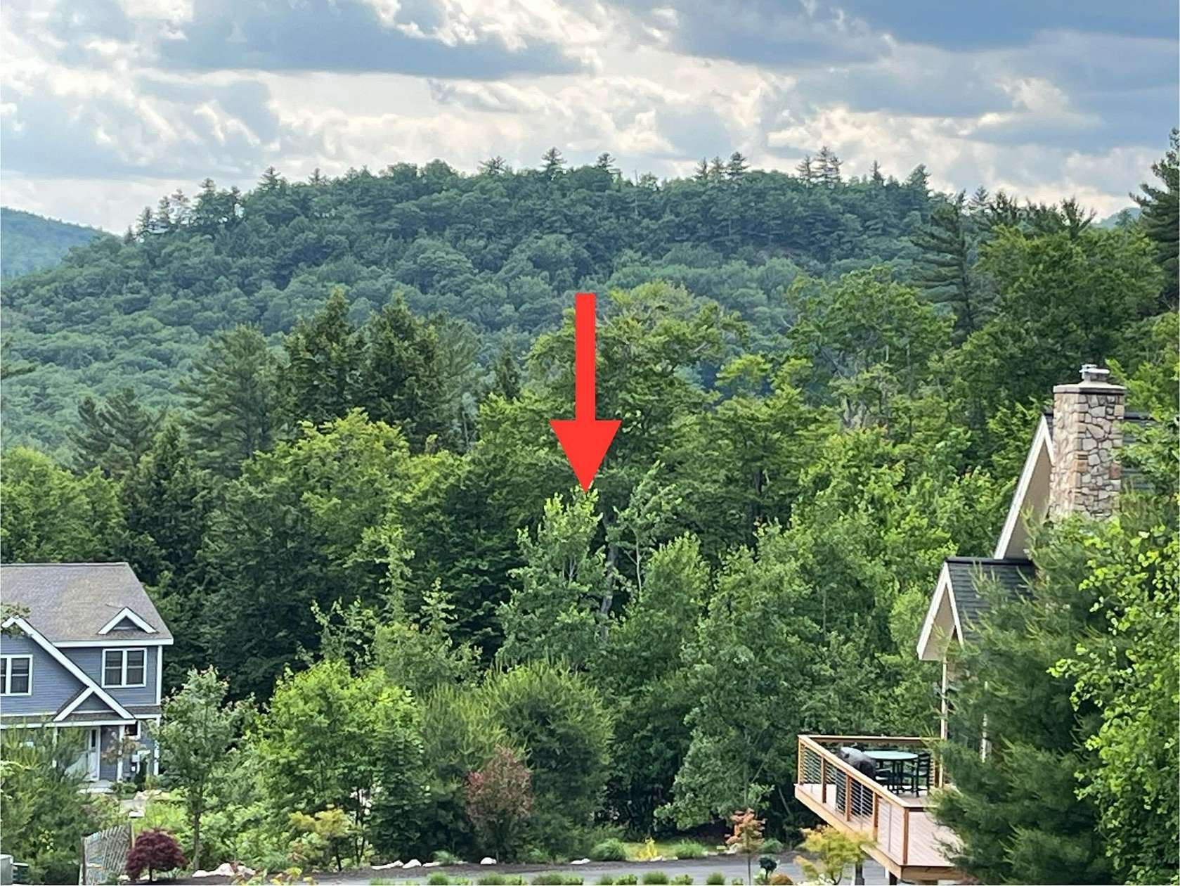 0.36 Acres of Land for Sale in Bartlett, New Hampshire