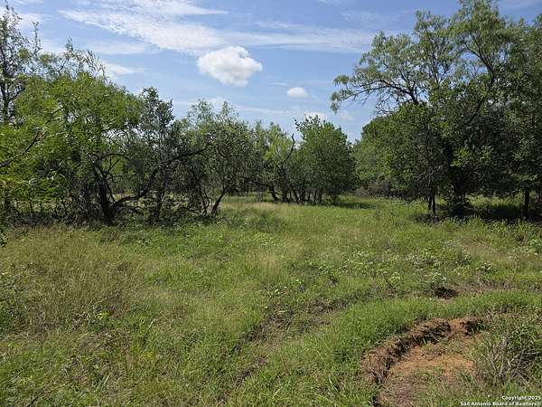 4.69 Acres of Residential Land for Sale in Seguin, Texas