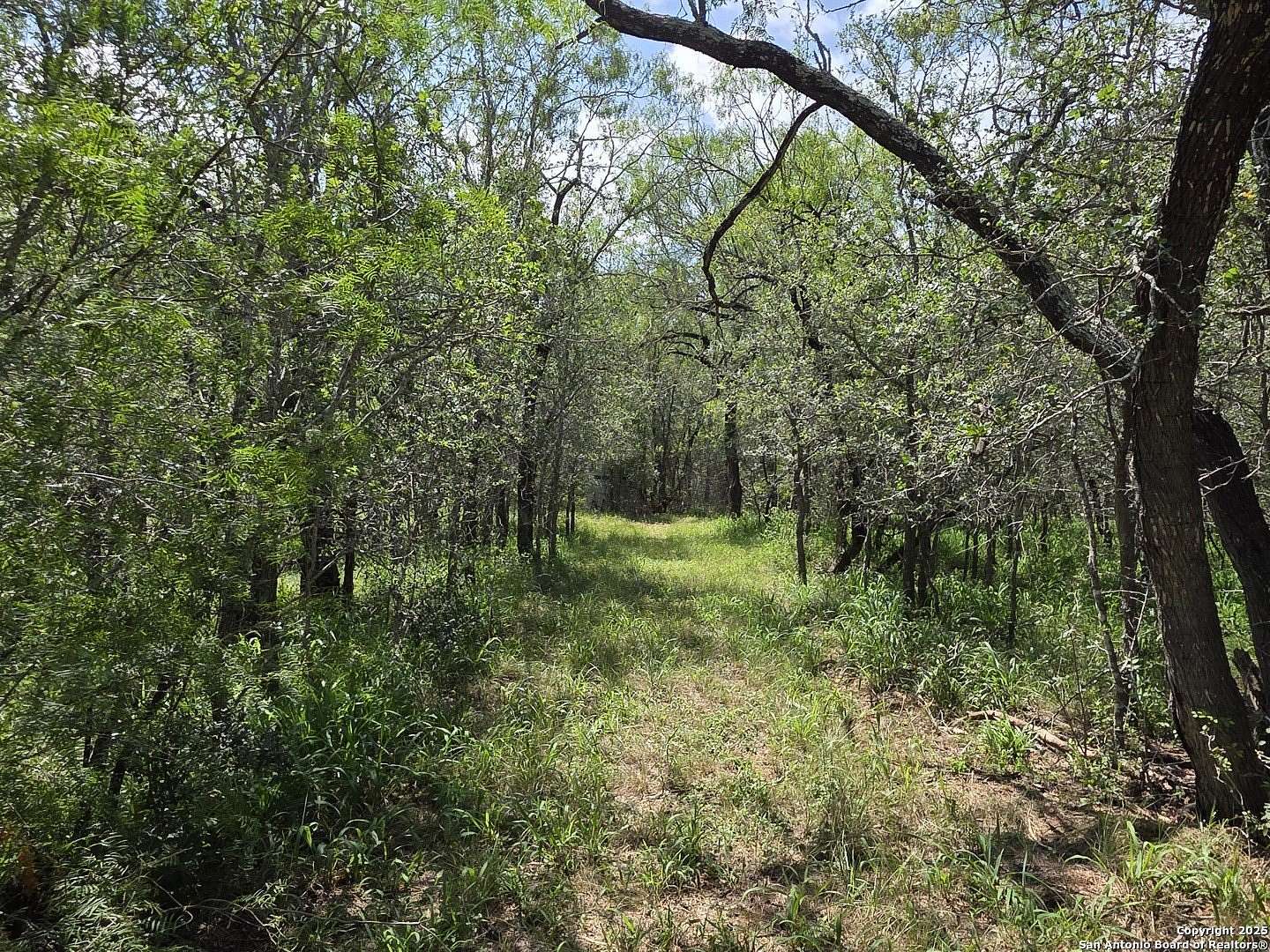 4.55 Acres of Residential Land for Sale in Seguin, Texas