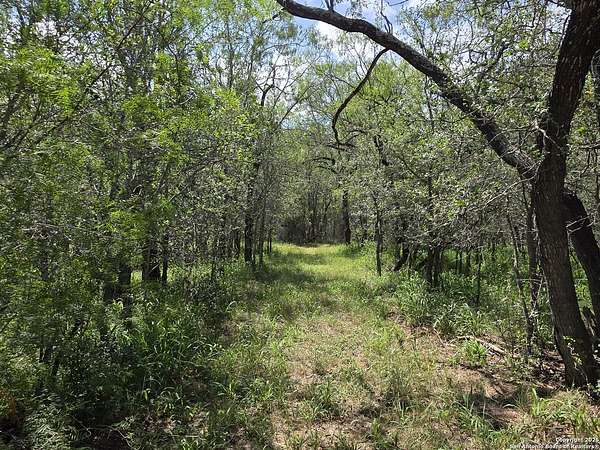 4.55 Acres of Residential Land for Sale in Seguin, Texas