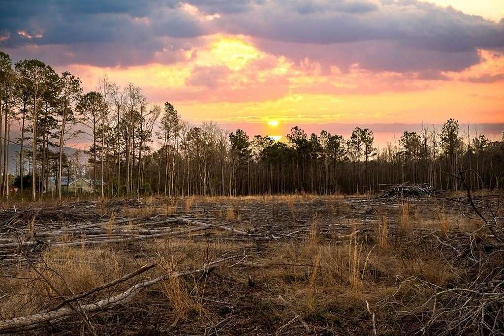 8.7 Acres of Residential Land for Sale in Conway, South Carolina