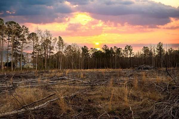 8.7 Acres of Residential Land for Sale in Conway, South Carolina