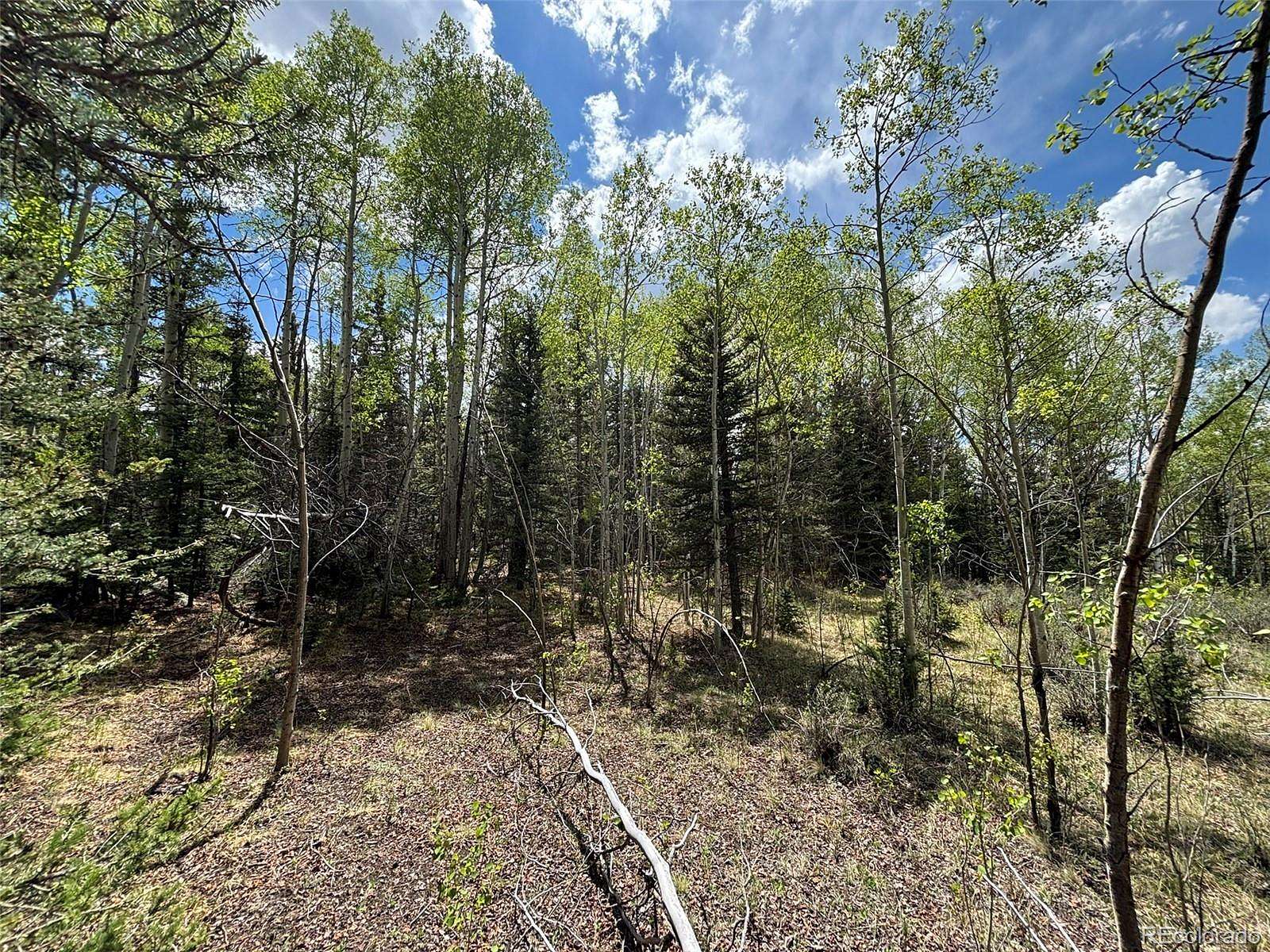 1.17 Acres of Residential Land for Sale in Como, Colorado
