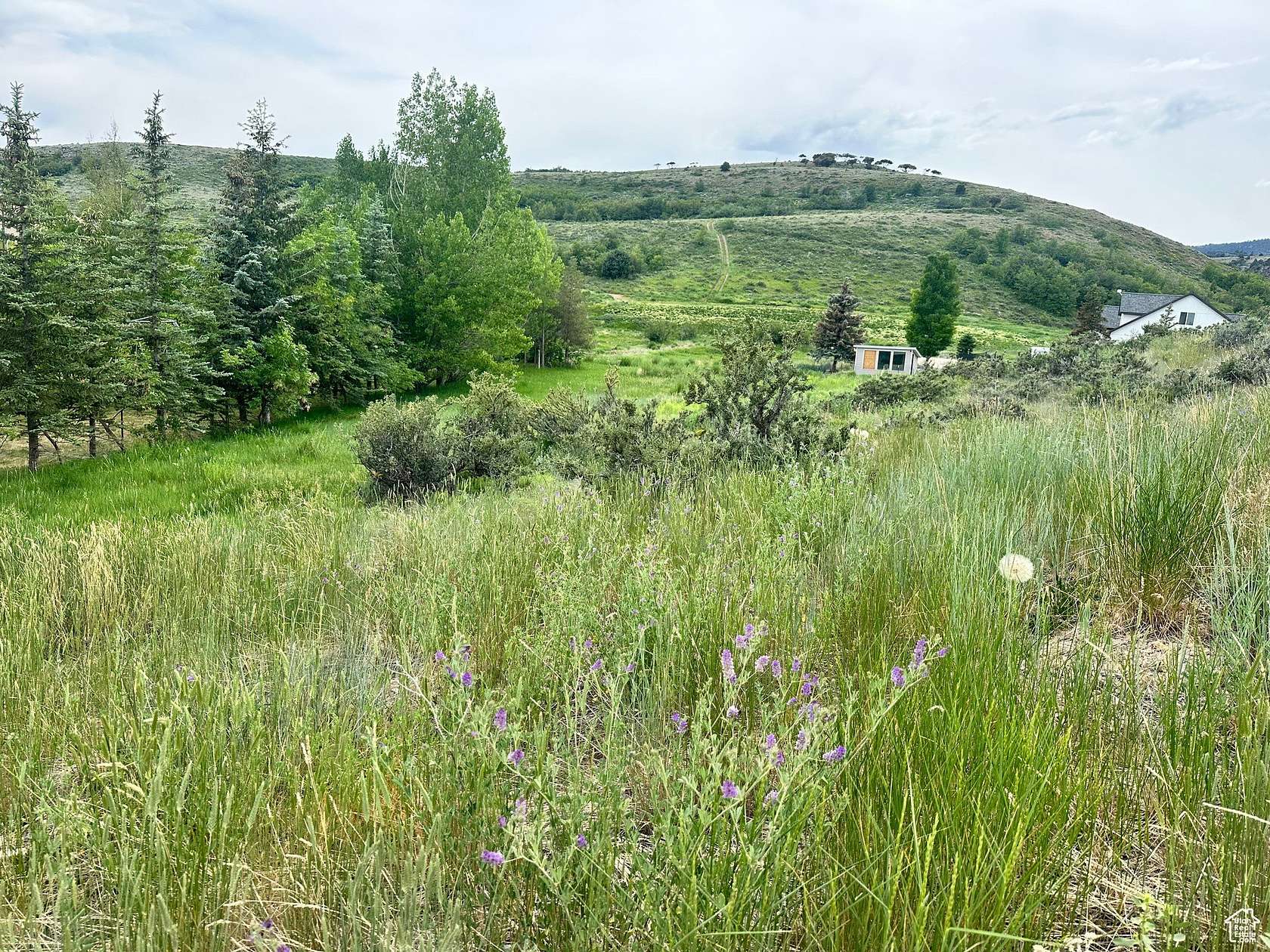 0.6 Acres of Land for Sale in Garden City, Utah