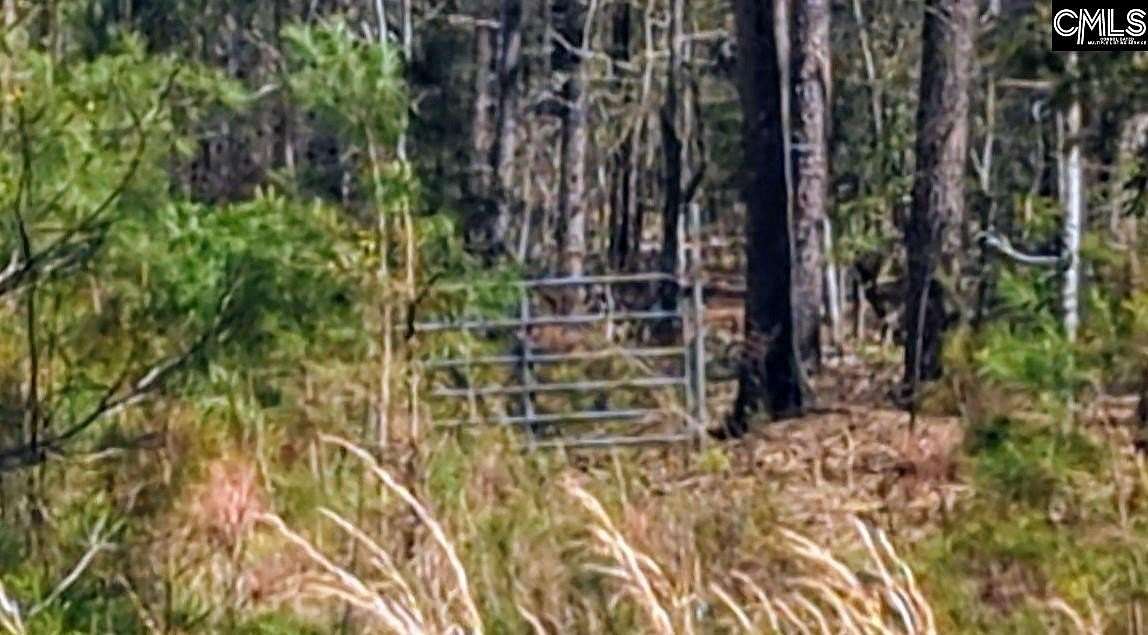 43 Acres of Recreational Land for Sale in Winnsboro, South Carolina