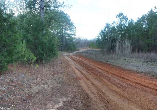 16.9 Acres of Land for Sale in LaGrange, Georgia