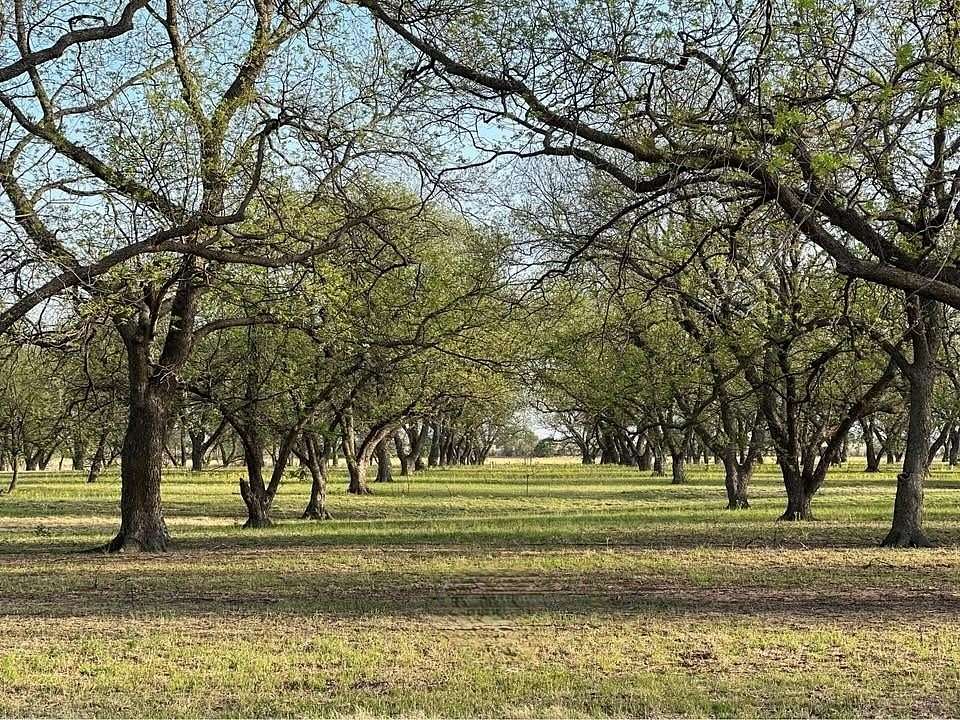 10.3 Acres of Land for Sale in De Leon, Texas