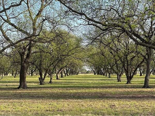 10.3 Acres of Land for Sale in De Leon, Texas