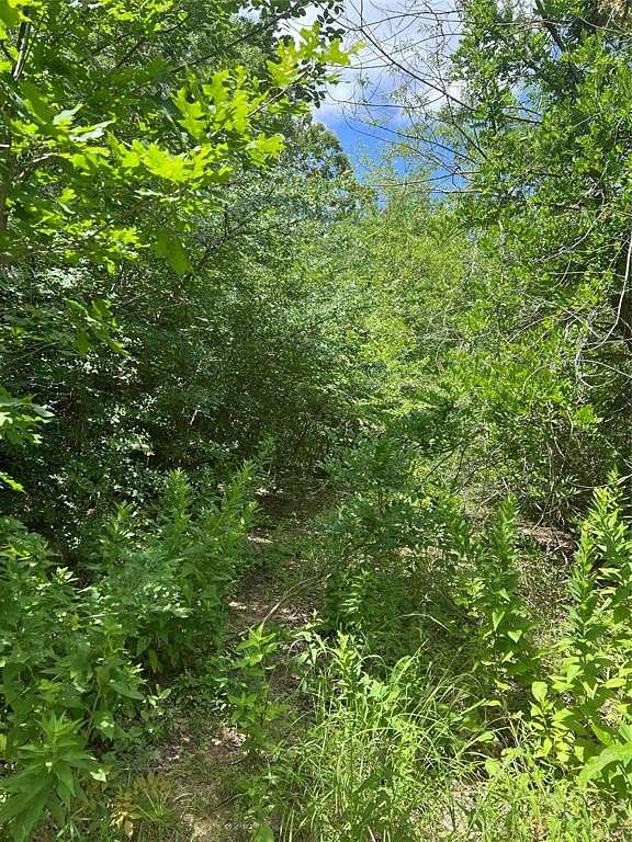 0.56 Acres of Land for Sale in Pottsboro, Texas