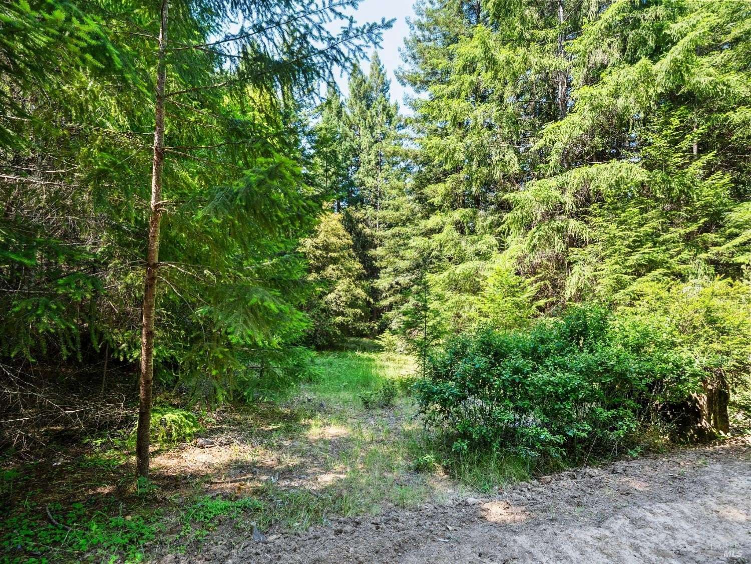 23 Acres of Recreational Land for Sale in Philo, California