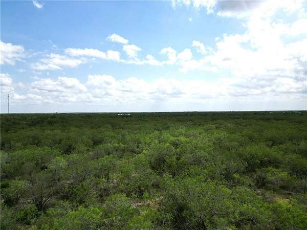 13.2 Acres of Recreational Land for Sale in San Diego, Texas