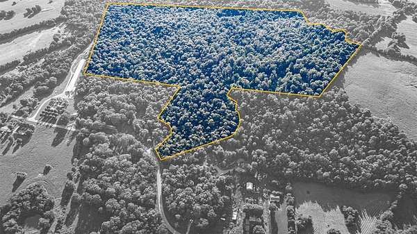 96 Acres of Recreational Land for Sale in Bowling Green, Kentucky
