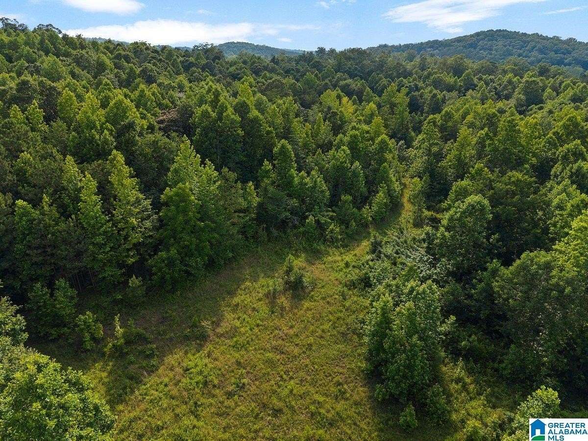 10.3 Acres of Land for Sale in Oneonta, Alabama