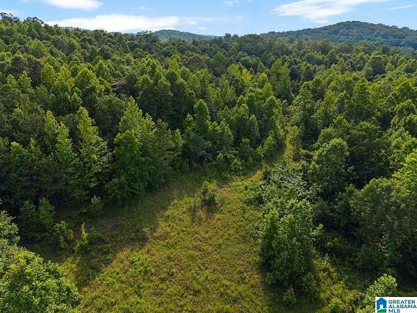 10.3 Acres of Land for Sale in Oneonta, Alabama
