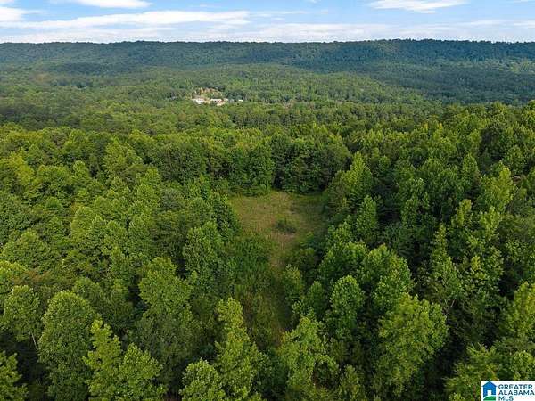 10 Acres of Residential Land for Sale in Oneonta, Alabama