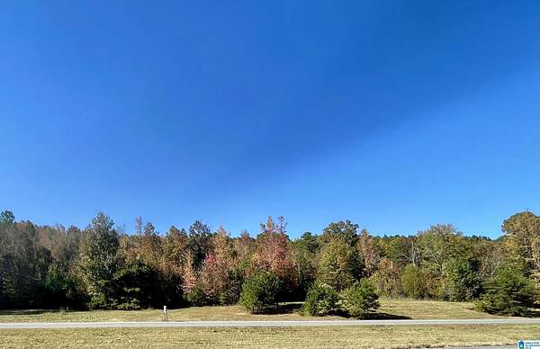 10 Acres of Land for Sale in Oneonta, Alabama
