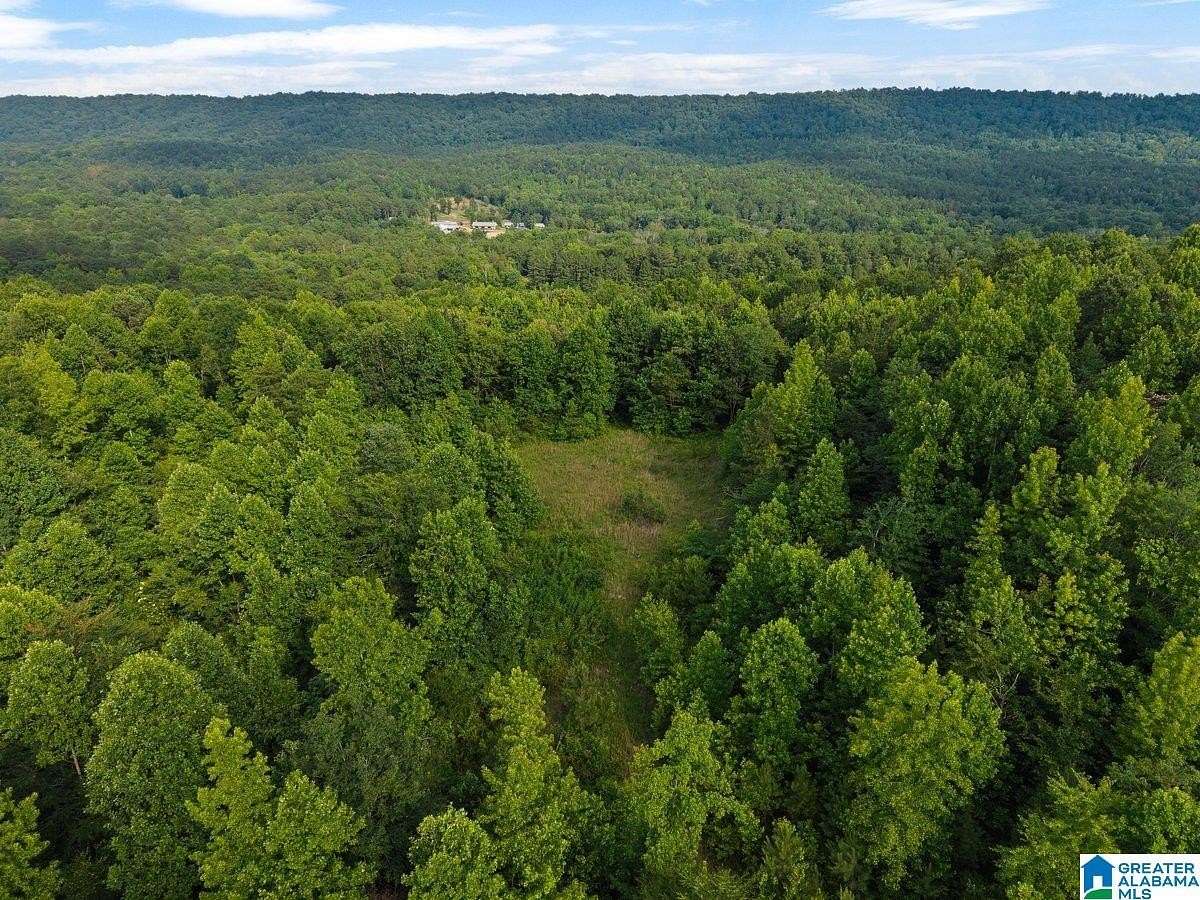 11.3 Acres of Land for Sale in Oneonta, Alabama
