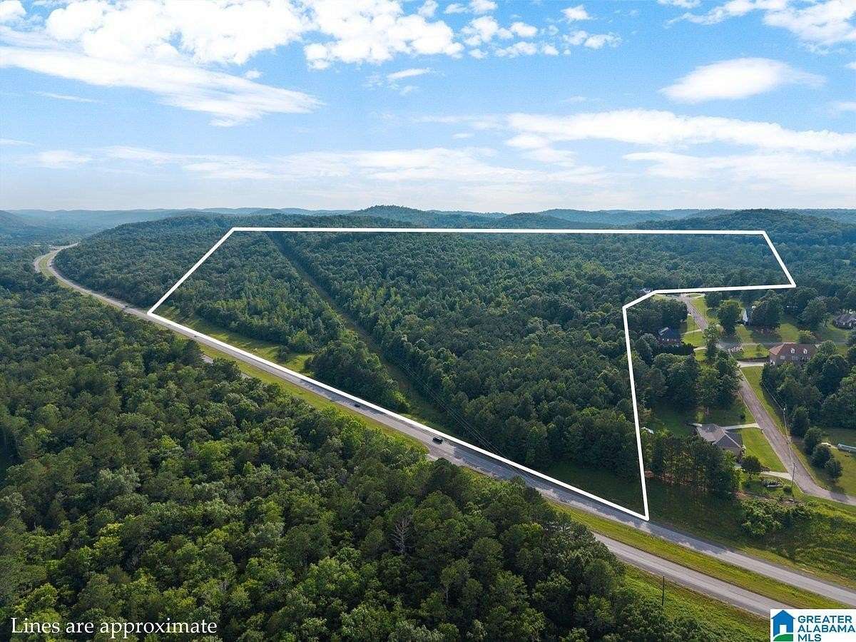 16.7 Acres of Land for Sale in Oneonta, Alabama